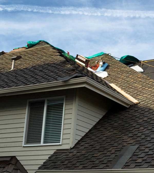 What to Expect From Roofing Company Dallas Texas?